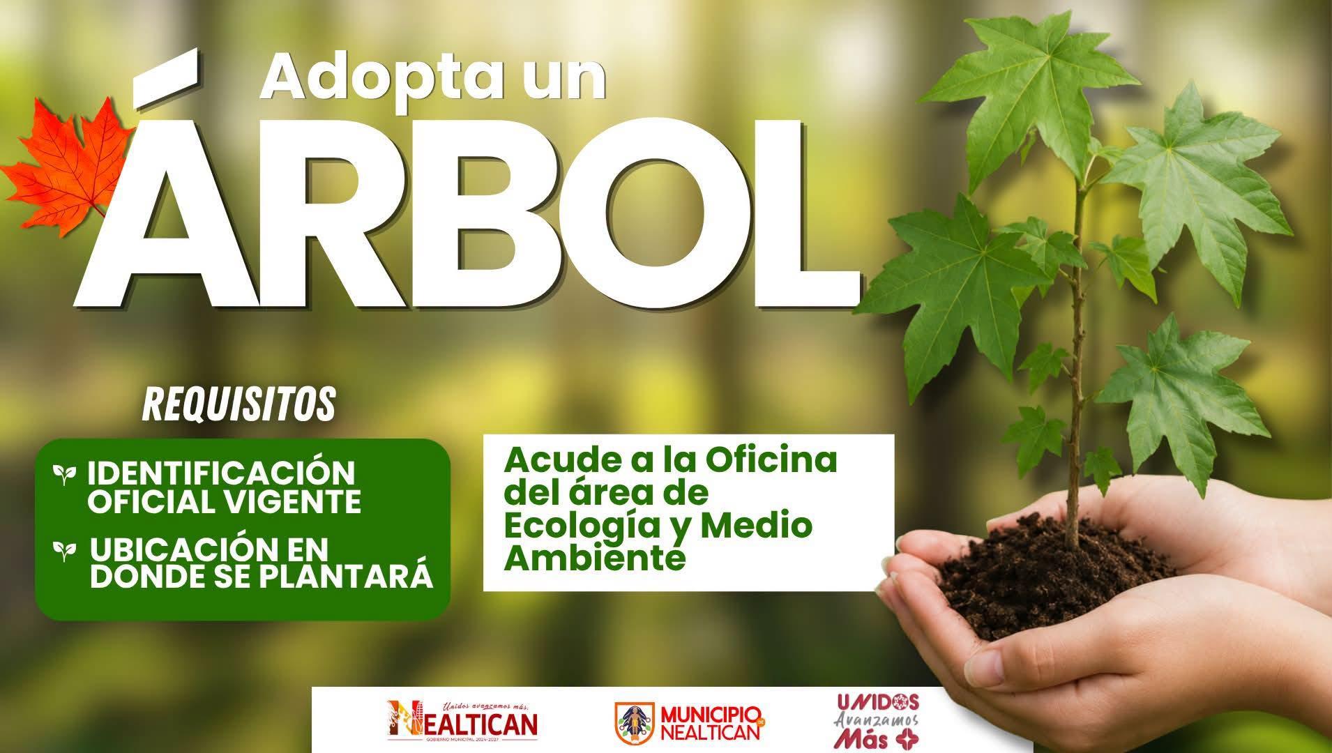 Adopta un árbol
